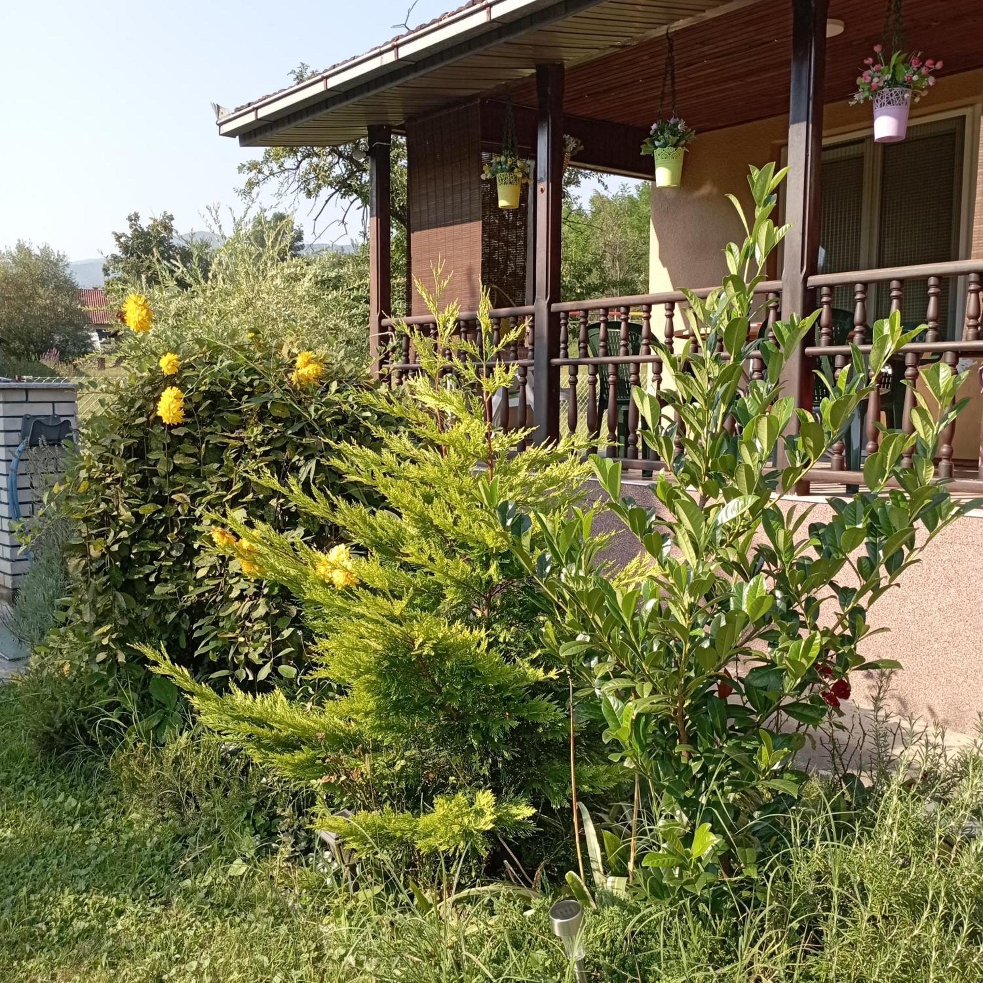 Kuca Za Odmor Zicanka Kraljevo Exterior foto